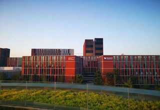 上海ZYS轴承尺寸