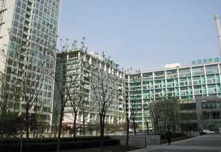 河北成品和田玉